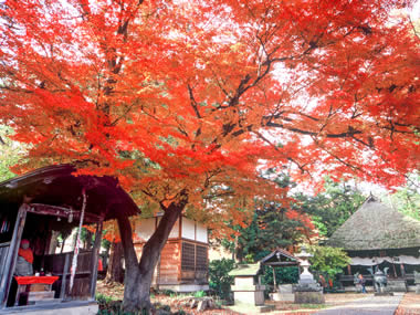 智識寺（ちしきじ）